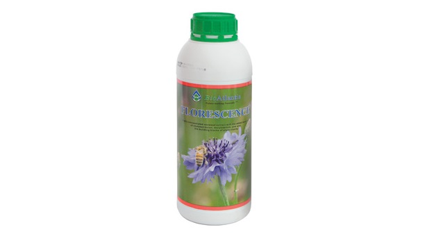 Florescence