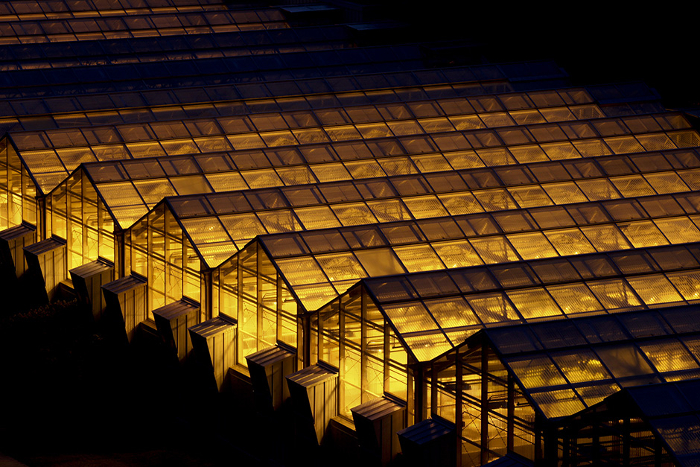 GREENHOUSE3