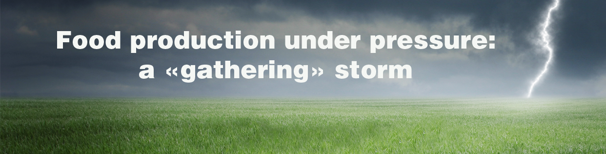 Gathering storm 0