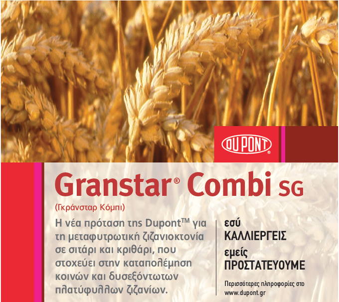 GranstarCombi sg