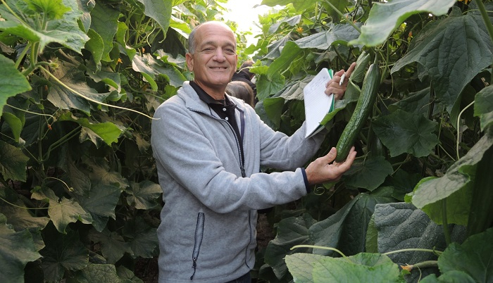 Hazera regional cucurbits product manager Yoav Levy