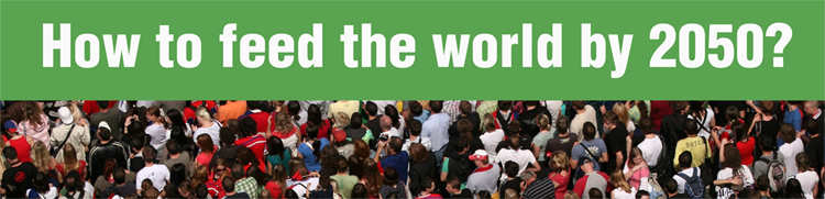 How to feed the world small banner 150dpi 1