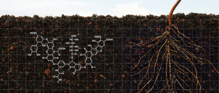 HumicinSoil