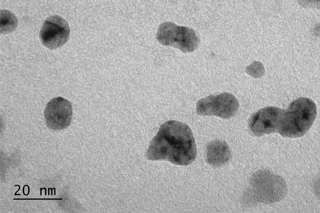 IN VITRO