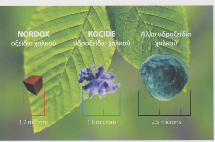 KOCIDE NORDOX image2