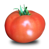 Kalloni1