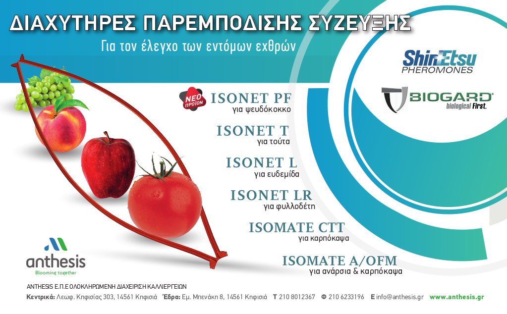 Komfouzia