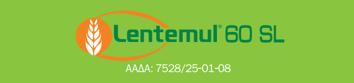 LEMENTUL