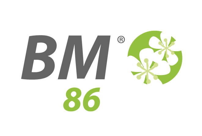LOGO BM86