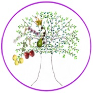 LOGO SYNEDRIOY
