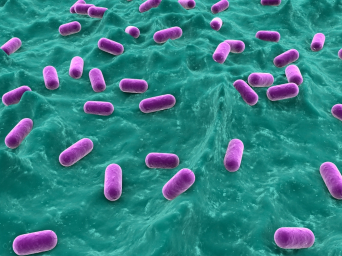 Lallemand probiotics plants pass USP GMP audits