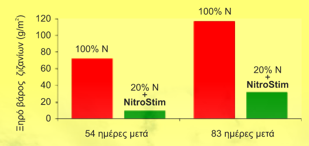 MEIWSH ZIZANIWN