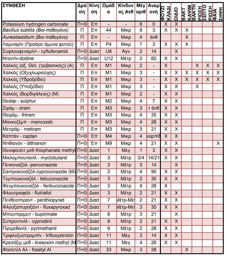 MYKHTOKTONA2019