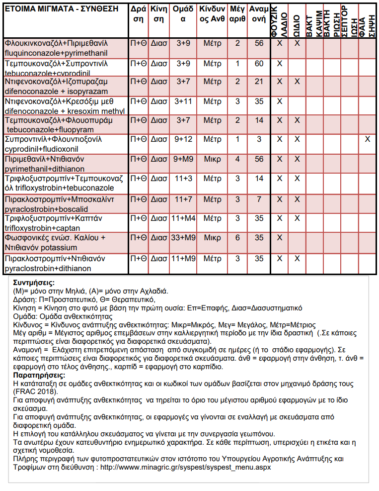MYKHTOKTONA2019 02