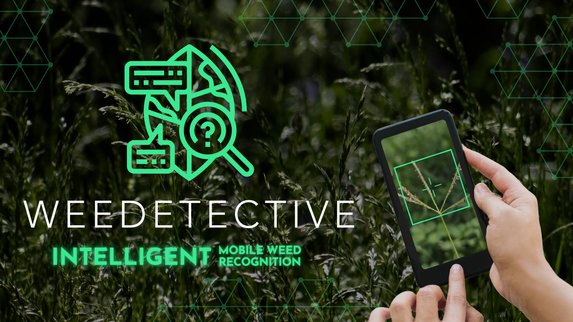 MediaReady WEEDETECTIVE 1920x1080px