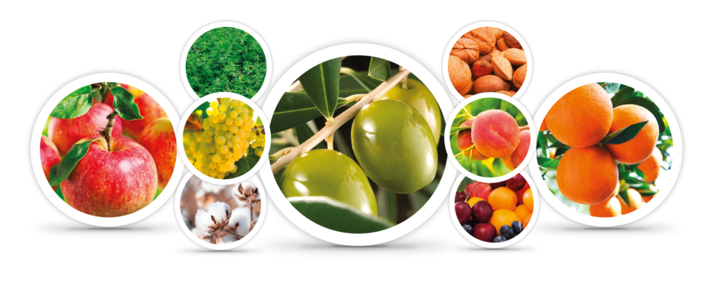 Mission Herbanil Glisompa Pesticide Brochure 410x290mm out 1024x412