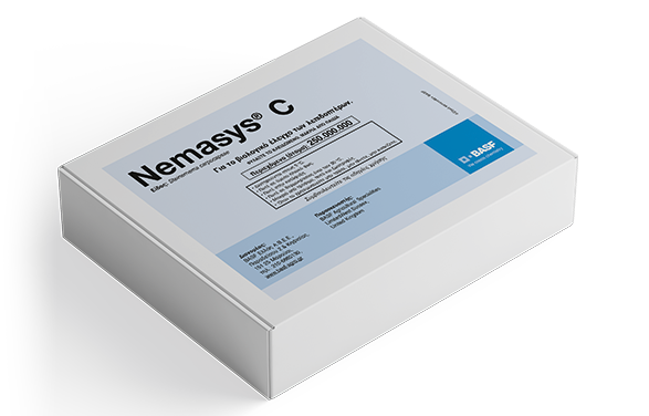 NEMASYS C 2021 