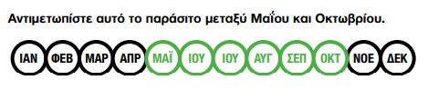 NEMASYS C