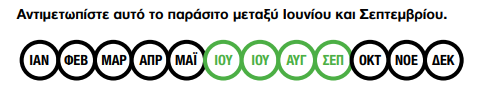 NEMASYS F MHNES