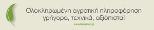 Ευχές για το 2015, επιστρέψαμε ανανεωμένοι!