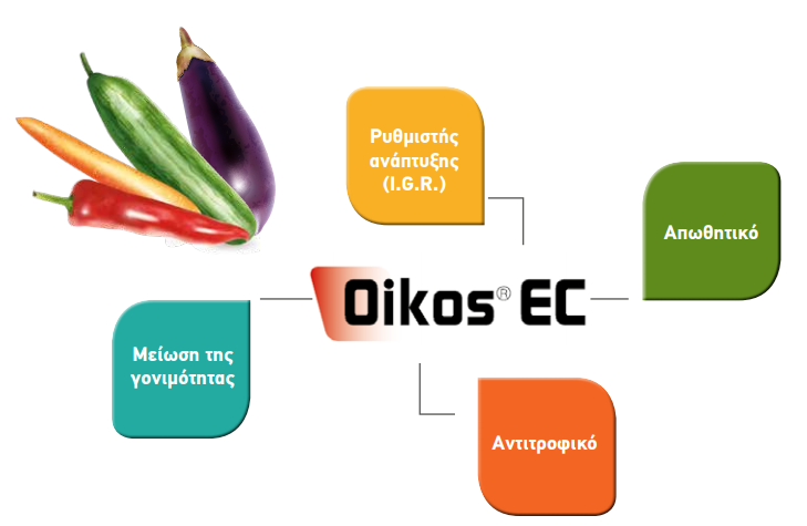OIKOS EC 2