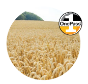 ONE PASS