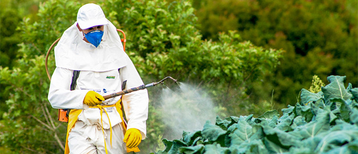 PESTICIDES3