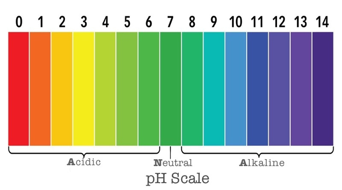 PH SCALE