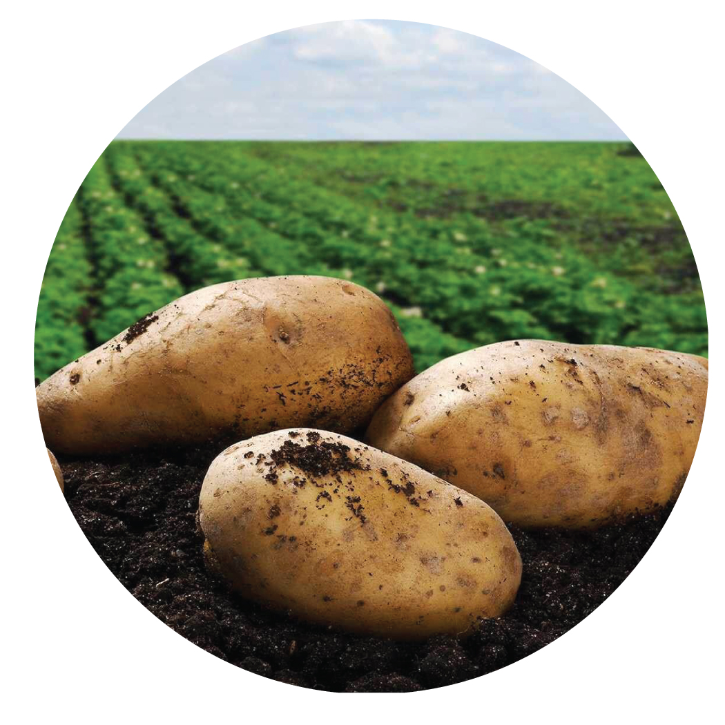 POTATO PROXANIL DUO