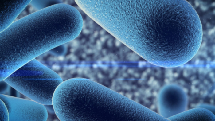 Probiotics for plants