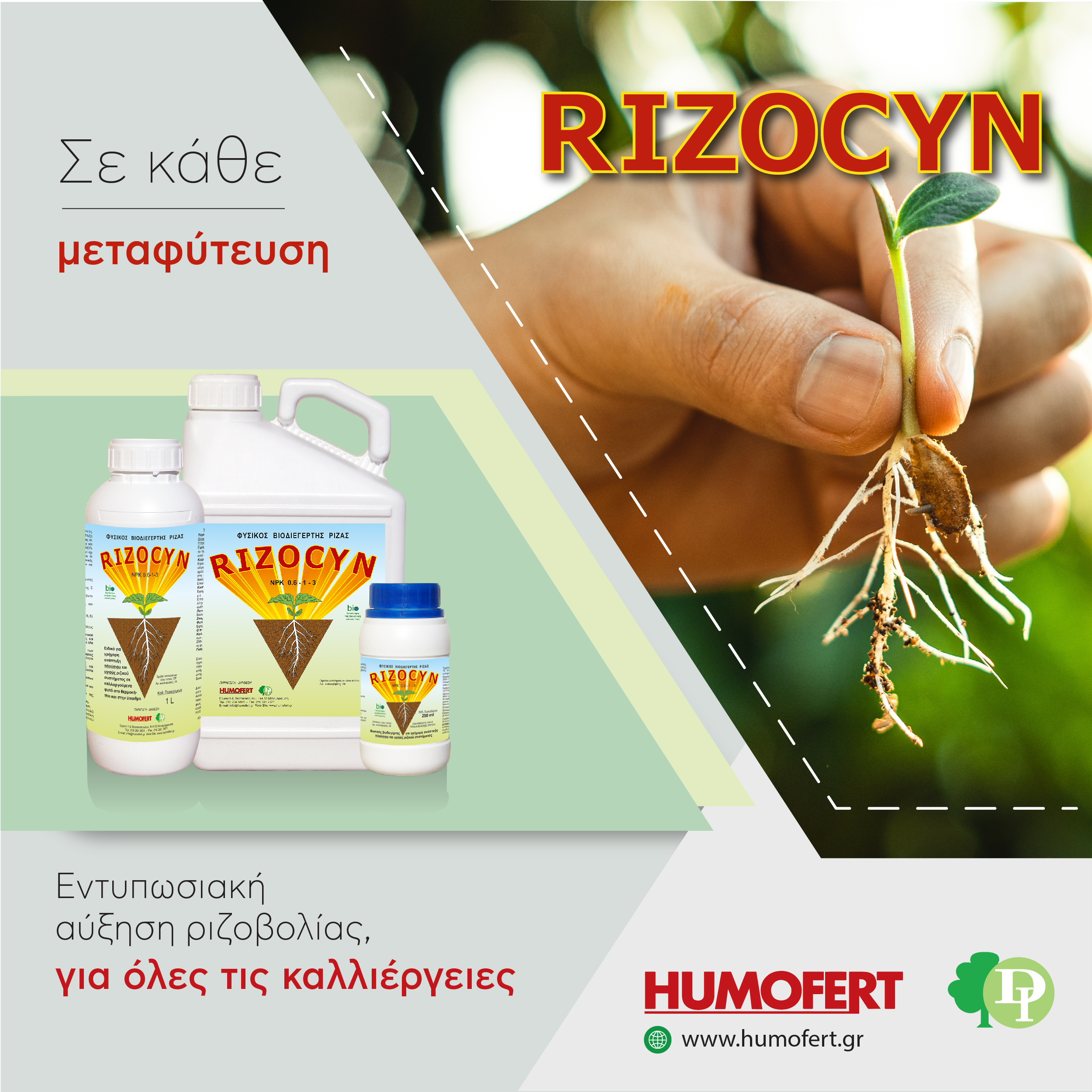 Rizocyn