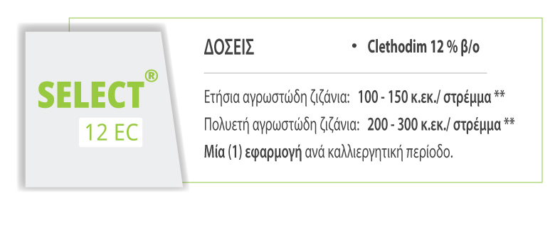 SELECT 12 EC ΔΟΣΕΙΣ