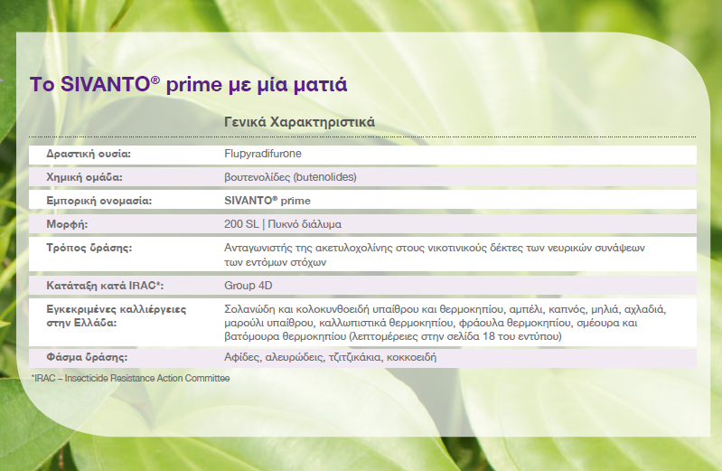 SIVANTO PRIME xarakthristika
