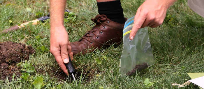 SOIL ANALYSIS