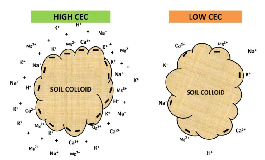 SOIL COLLOID
