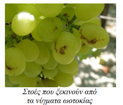 STOES APO NYGMATA WOTOKIAS