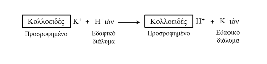 SXHMA1