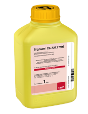 Signum2