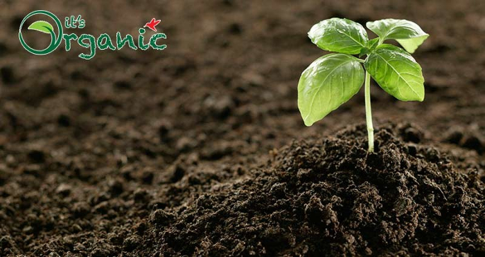 Soil Fertility itsorganic 800x425