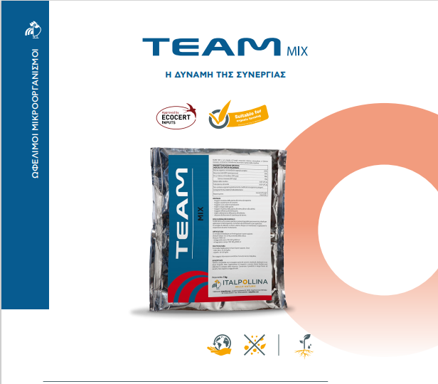 TEAM MIX