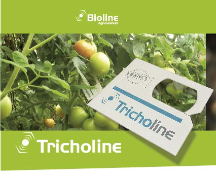 TRICHOLINE long banner