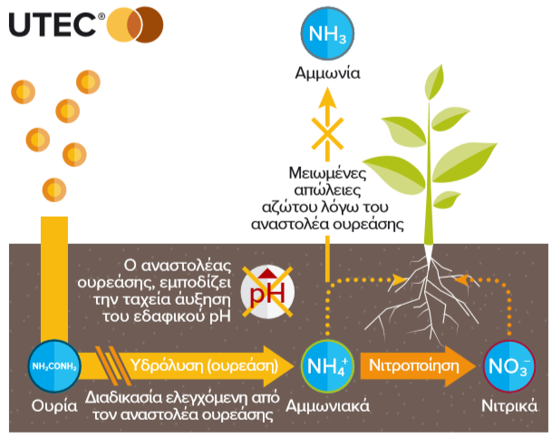UTEC NITROPOIHSH