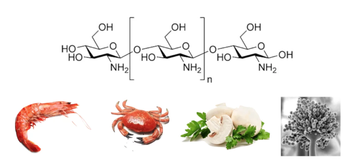 What is chitosan