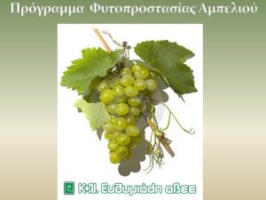 Πρόγραμμα Φυτοπροστασίας Αμπέλου από την Κ+Ν Ευθυμιάδης
