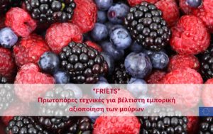 “FRIETS”: Πρωτοπόρες τεχνικές για βέλτιστη εμπορική αξιοποίηση των μούρων