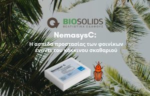 Η αποτελεσματική αντιμετώπιση του ρυγχοφόρου του φοίνικα με τη χρήση ωφέλιμων νηματωδών