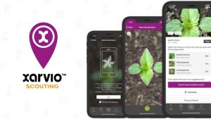 xarvio™ SCOUTING – ένας βοηθός στην τσέπη σας!