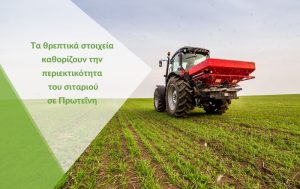 Ανάγκες σε θρεπτικά στοιχεία στην καλλιέργεια σιταριού