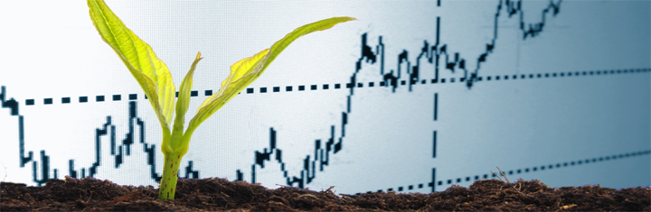 agricultural investments