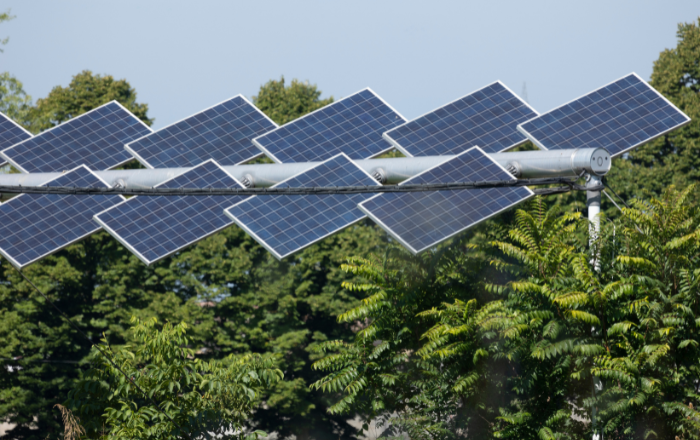 agrivoltaic system